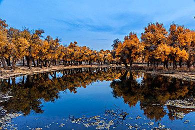 《绝区零》代理人战斗情报：耀嘉音